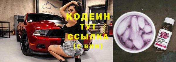молекула духа Пересвет