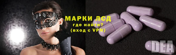 молекула духа Пересвет