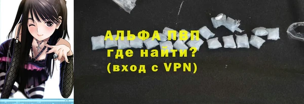 гашик Гатчина
