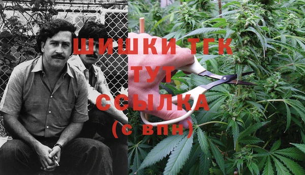 мдпв Переславль-Залесский
