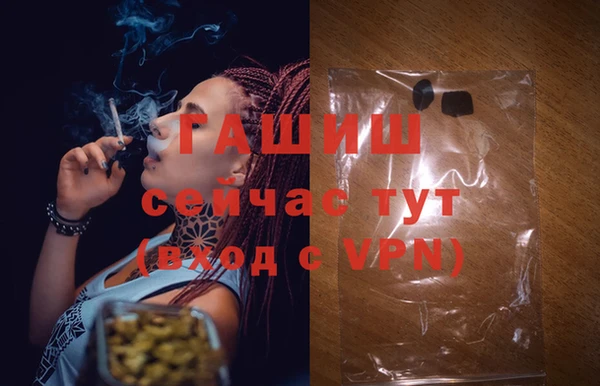 молекула духа Пересвет