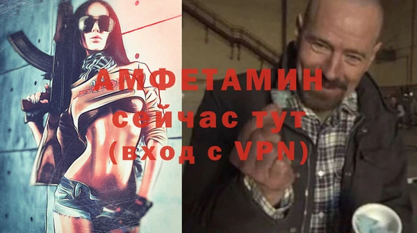 молекула духа Пересвет