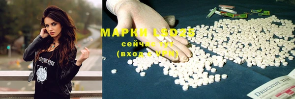 молекула духа Пересвет