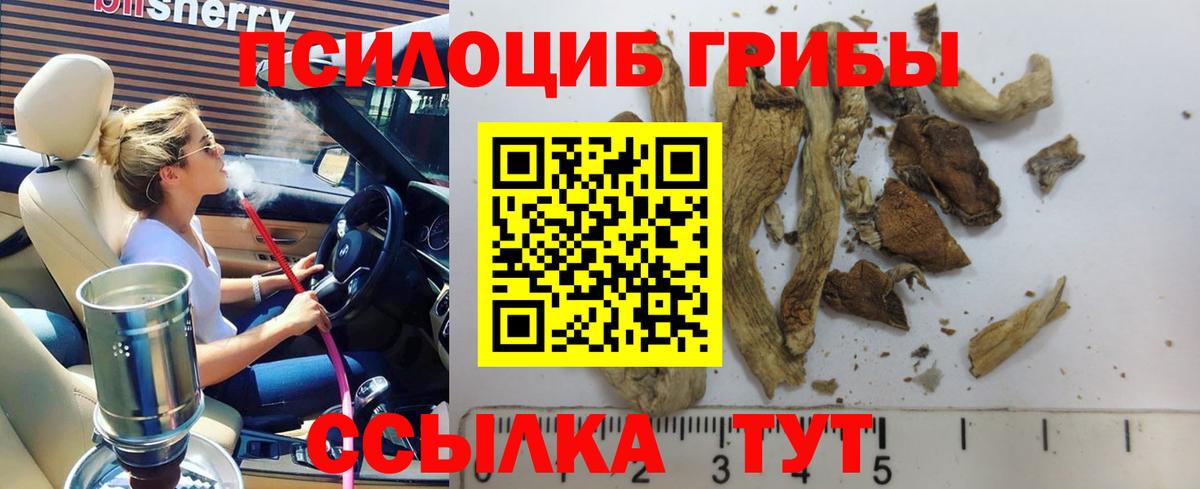 Псилоцибиновые грибы ЛСД  Азов 